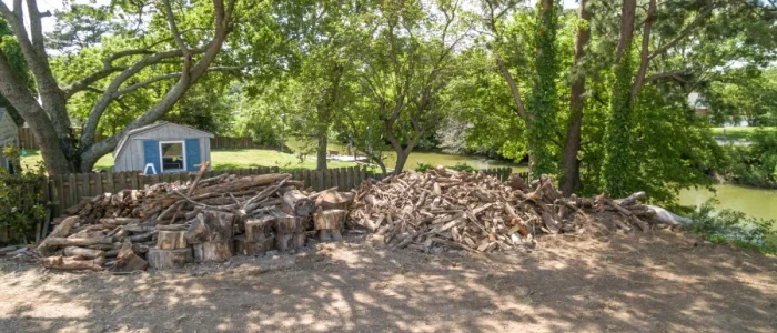 Land Clearing Land Clearing