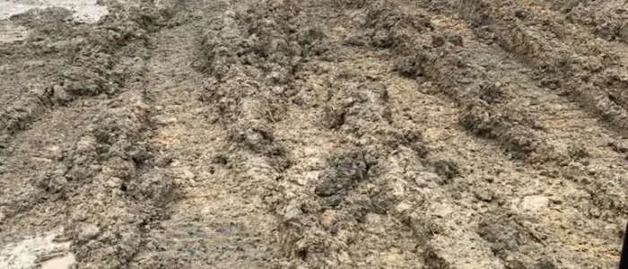 Land Clearing 6 Land Clearing 6