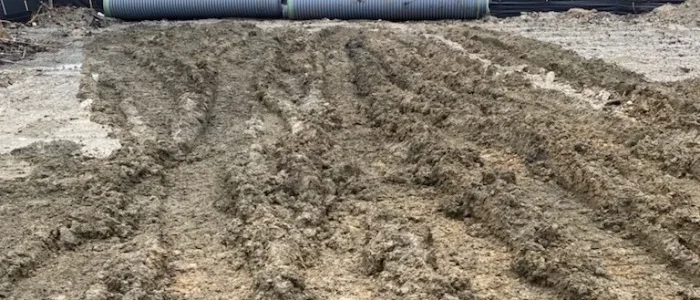 Land Clearing 6 Land Clearing 6