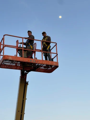 10 tree-removal-services-4 (1)