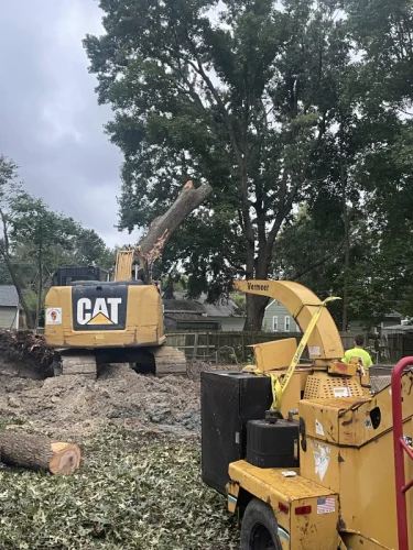 15 tree-removal-services-11 (1)