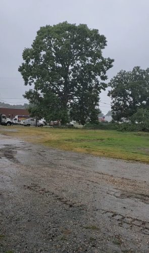 shovel-kings-2025-09-24T14 53 02.851095Z-15669